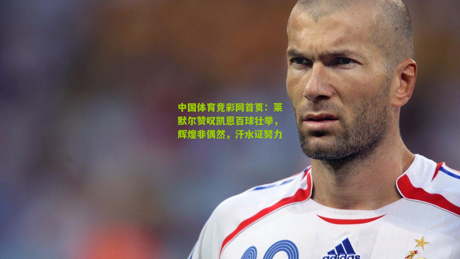 莱默尔赞叹凯恩百球壮举，辉煌非偶然，汗水证努力