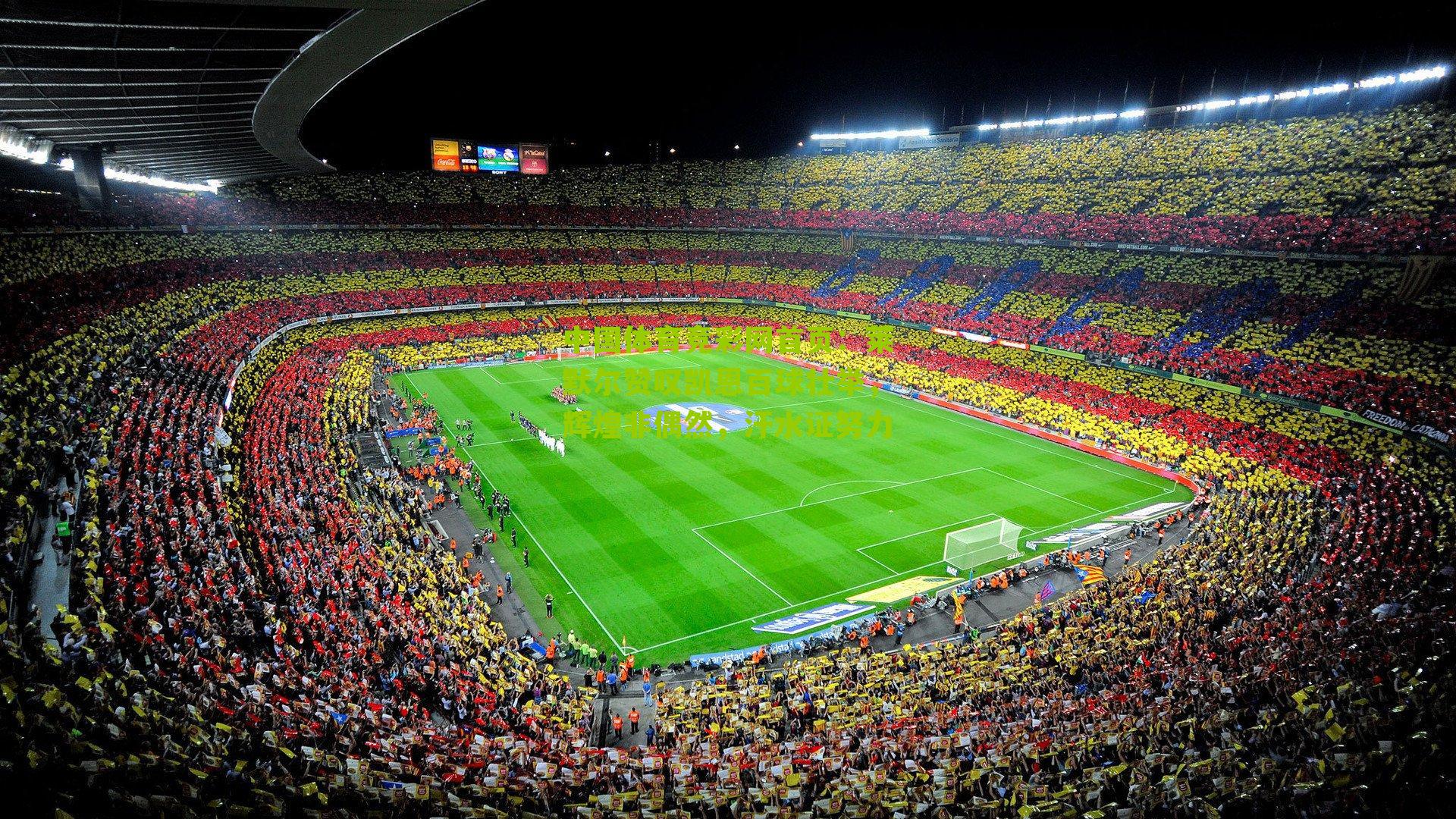 莱默尔赞叹凯恩百球壮举，辉煌非偶然，汗水证努力