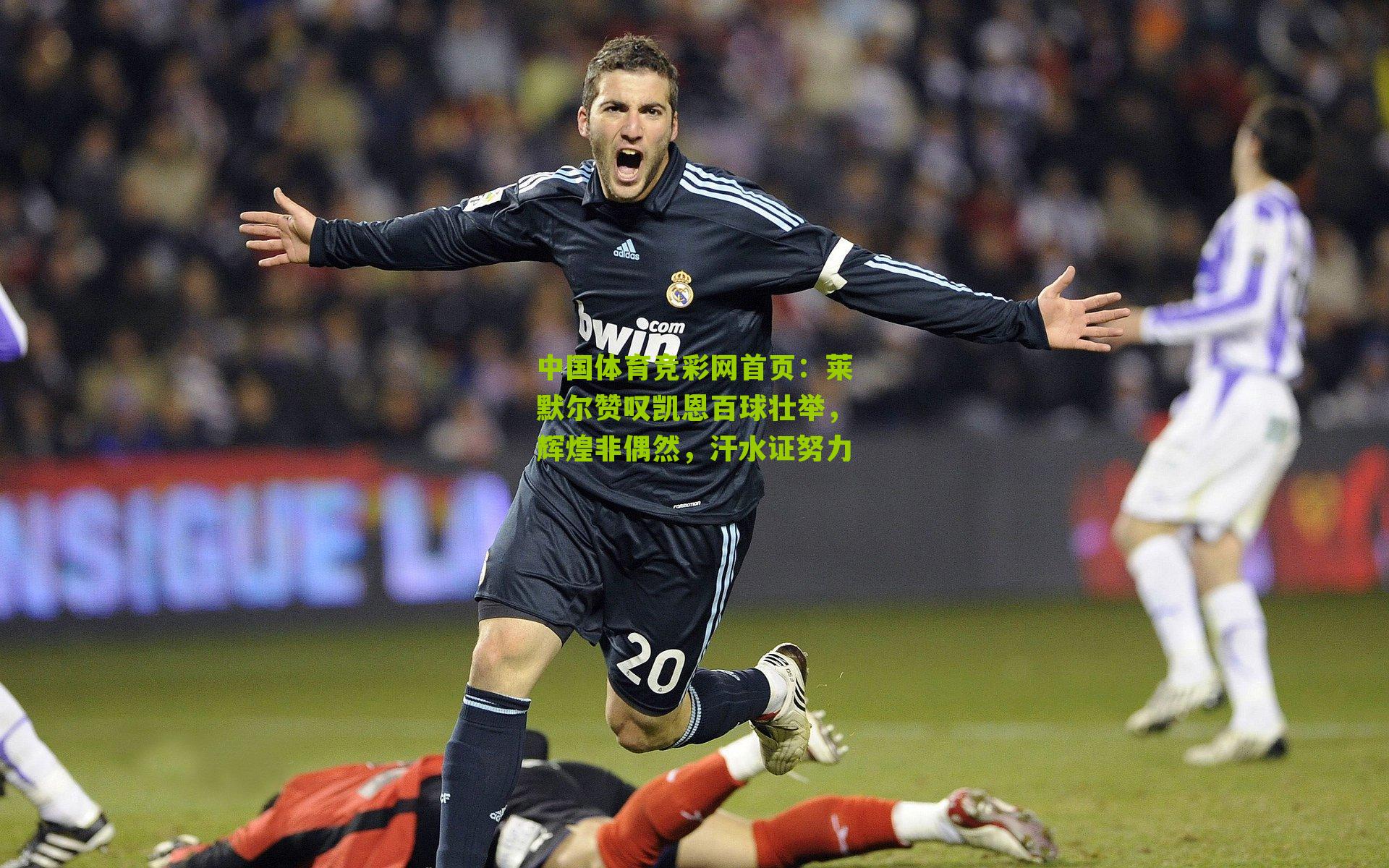 莱默尔赞叹凯恩百球壮举，辉煌非偶然，汗水证努力