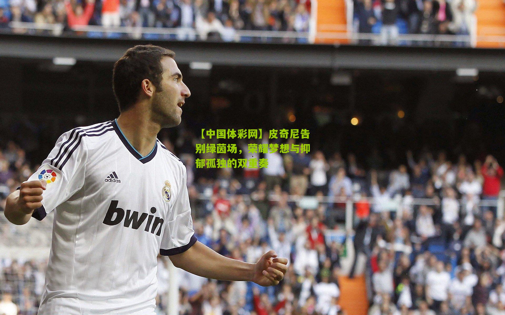 【中国体彩网】皮奇尼告别绿茵场，荣耀梦想与抑郁孤独的双重奏